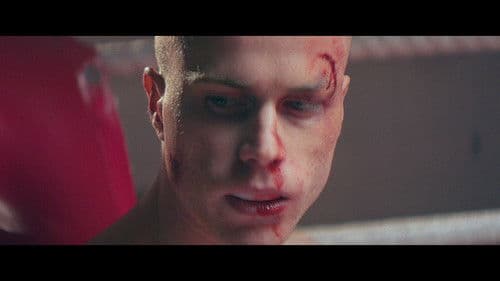 The Scottish Boy Bild 8