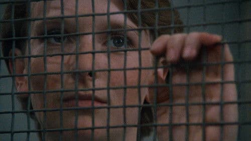 Tagebuch für meine Lieben Bild 4