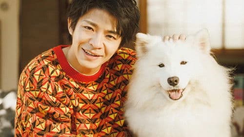 すきすきワンワン！ Bild 1