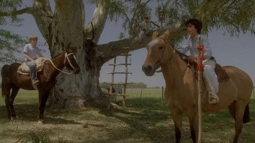 Geheimnisse eines Sommers Bild 1