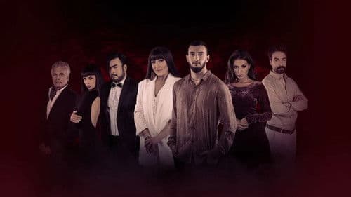 سولو دموعي Bild 1