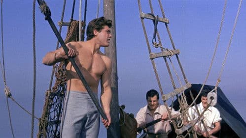 Samson und die weißen Sklavinnen Bild 3