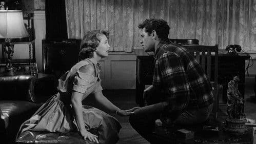 The Shadow on the Window Bild 4