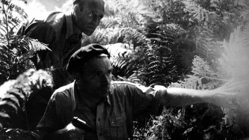 Schienenschlacht Bild 5