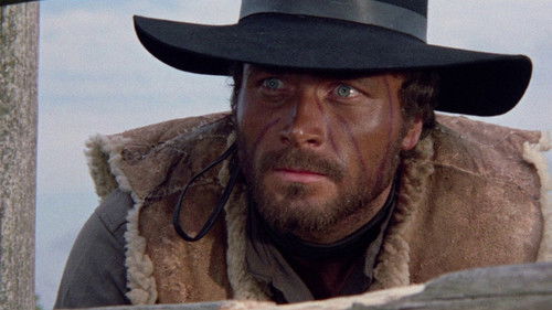 Django - Sein Gesangbuch war der Colt Bild 2