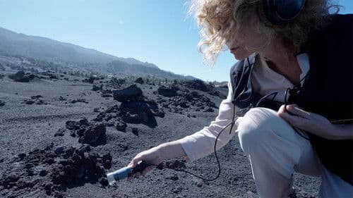 Do Rocks Dream of Flying ? Bild 1