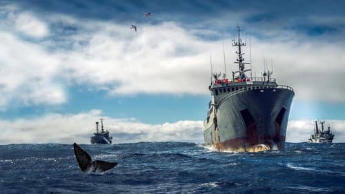 Ocean Warriors Bild 1