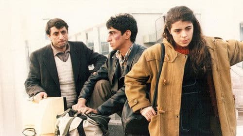 Reise zur Sonne Bild 2