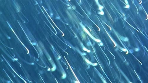 The Girl from Monday Bild 3