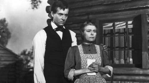 Der junge Mr. Lincoln Bild 8