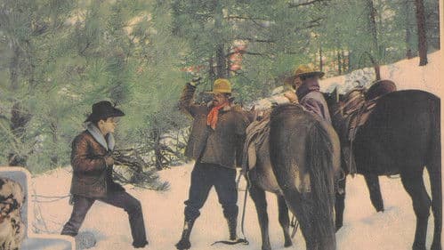 Trailing North Bild 1