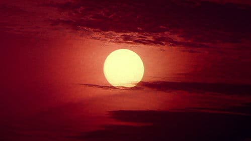 தளபதி Bild 7