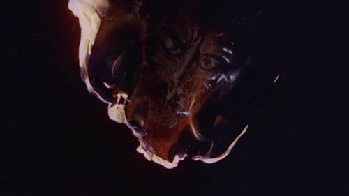 Das Geheimnis des gelben Grabes Bild 1