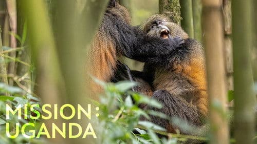 Mission: Uganda Bild 1