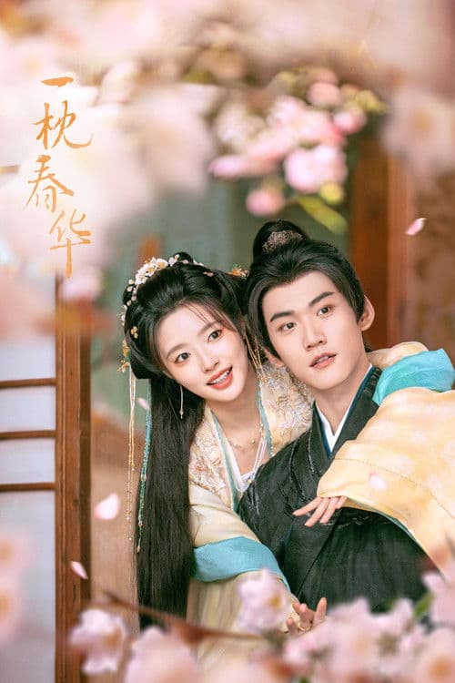 一枕春华