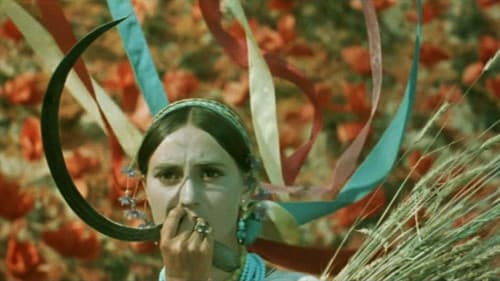 Вечір на Івана Купала Bild 4