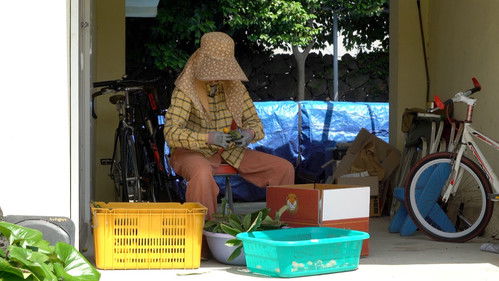 우리는 매일매일 Bild 3