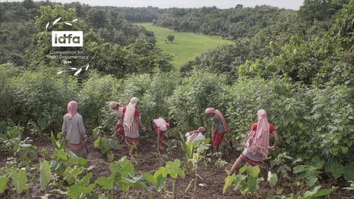 Koro gochongni Bild 1