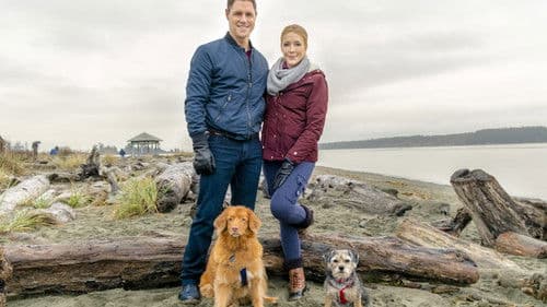 Walking the Dog Bild 2