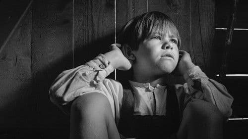 Kdo se boji črnega moža? Bild 3