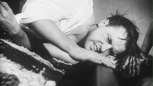 Das Stahltier Bild 1