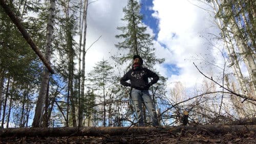 K'i Tah Amongst the Birch Bild 1