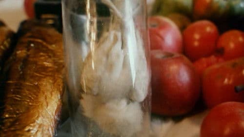 Vtáčkovia, siroty a blázni Bild 5