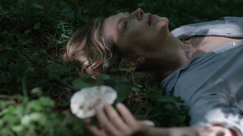 Linije želje Bild 8