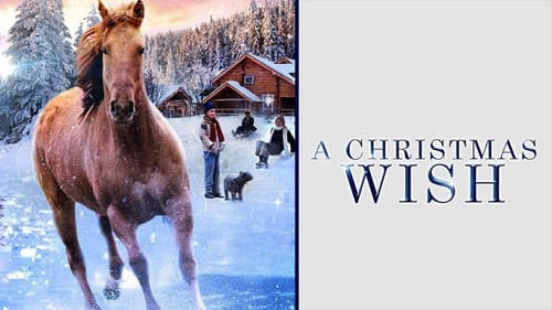 Herzenssache - Ein Pferd für die ganze Familie Bild 4