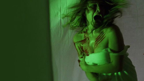 Spider Labyrinth - In den Fängen der Todestarantel Bild 7