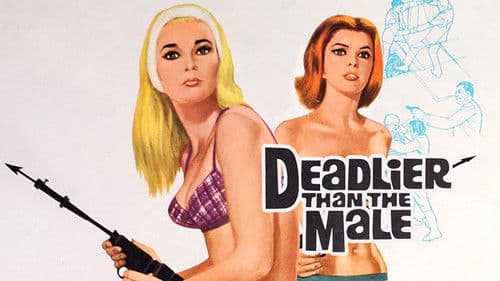 Heiße Katzen Bild 5