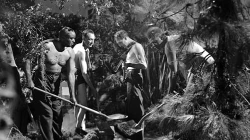 Revenge of the Zombies Bild 7