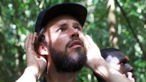 Arjan's Big Year Bild 3