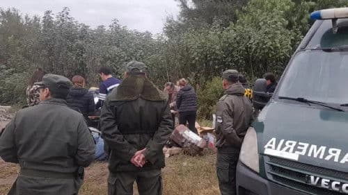 Las panteritas Bild 2