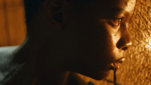 Tropique de la violence Bild 7