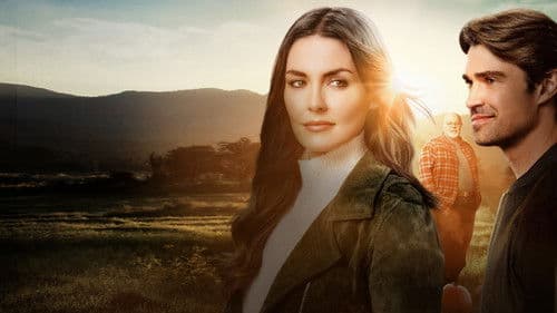 Kürbis-Chaos in der Heimat Bild 2