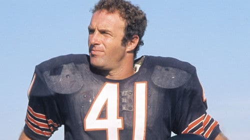 Freunde bis in den Tod Bild 8