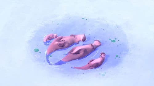 Je suis un Caillou Bild 4