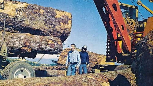 Sie möchten Giganten sein Bild 1