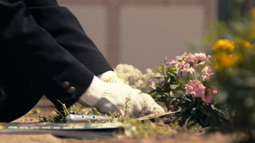 The Proper Way to Write Love Bild 4