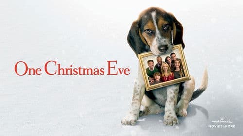 Das Weihnachts - Chaos Bild 4