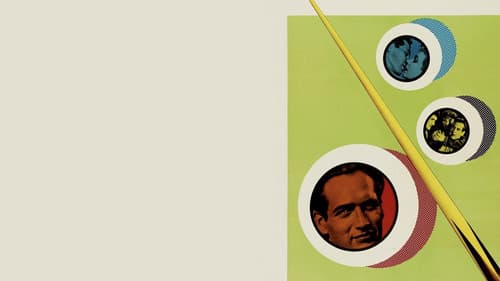 Haie der Großstadt Bild 2