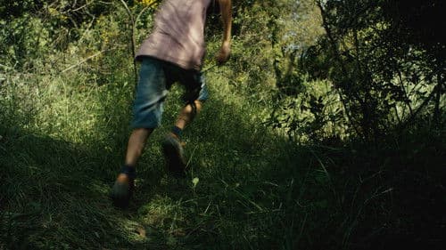 Pedra per Cor Bild 2