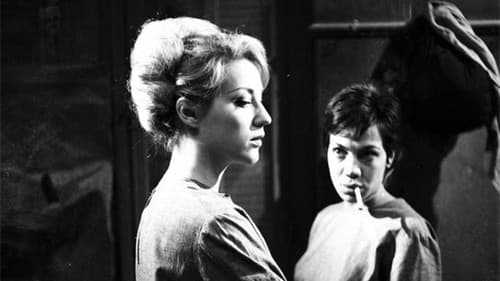 Στεφανία Bild 1