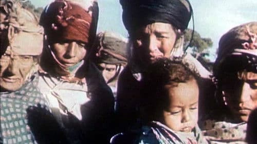 Algérie en flammes Bild 3