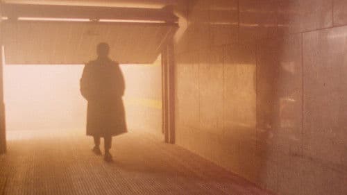 Die Mörderbrigade Bild 3