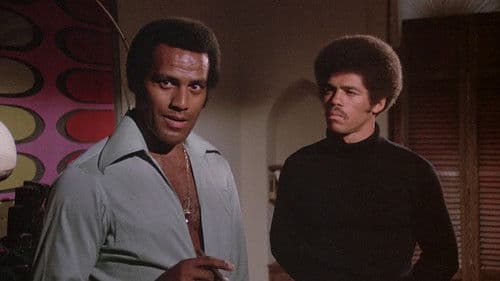 Drei eiskalte Profis Bild 1