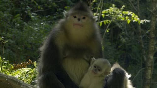 美丽中国说 Bild 1