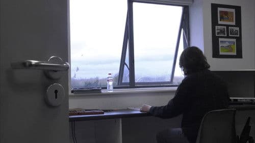 A Portrait of Everything Bild 3