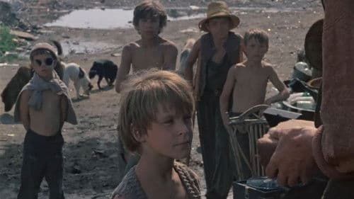 Подранки Bild 1